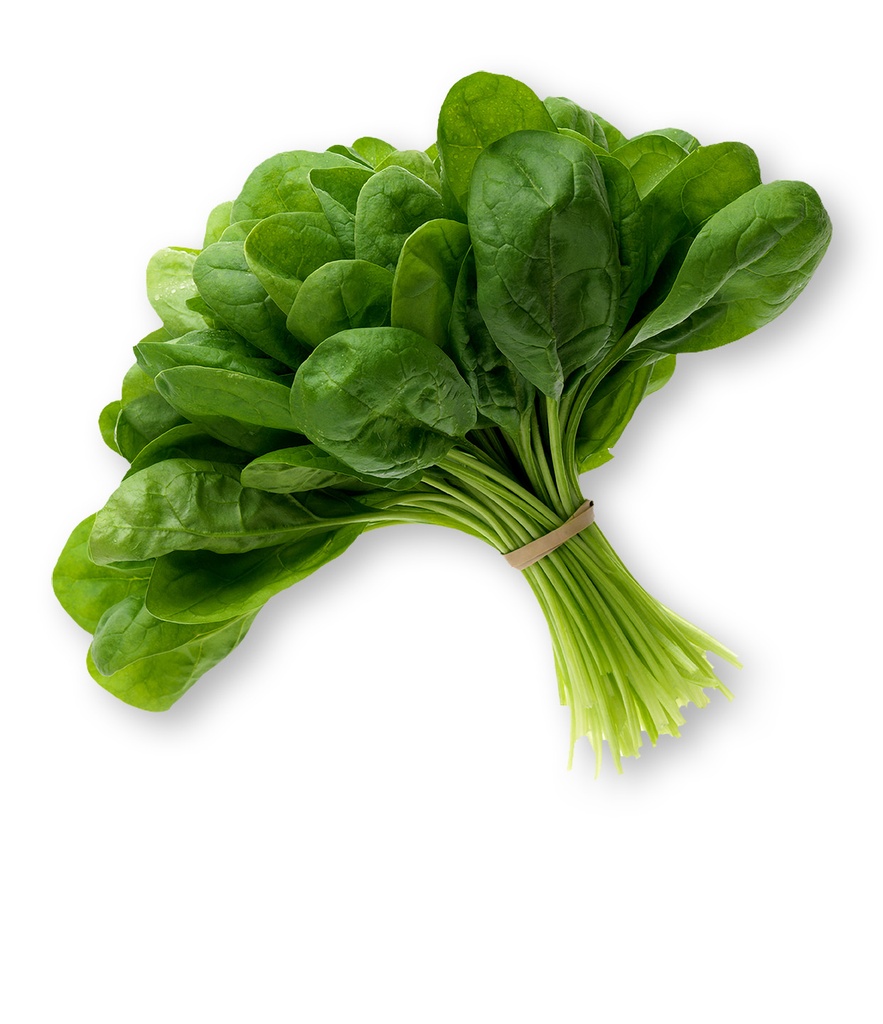 SPINACH (Palak)