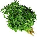 METHI