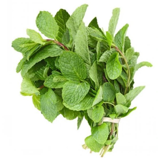 MINT LEAVES (Pudina )