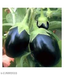BRINJAL BLACK LOOSE