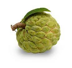 CUSTARD APPLE