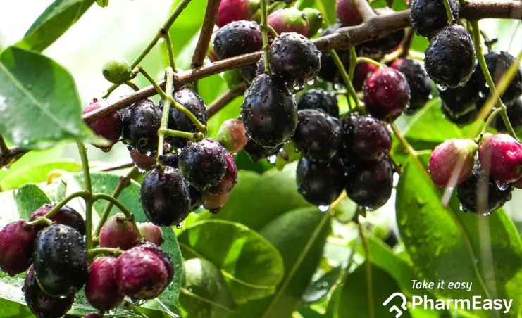 Jamun