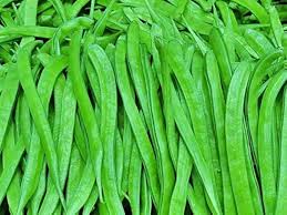 BEANS CLUSTER(Goruchikkudu)