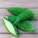 BITTER GOURD G(Kakarakaya )