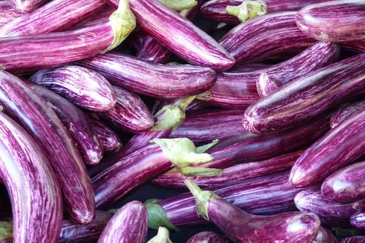 BRINJAL LONG VIOLET