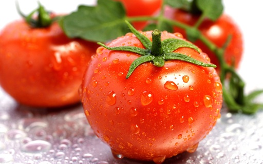 TOMATO