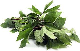 GONGURA LEAVES